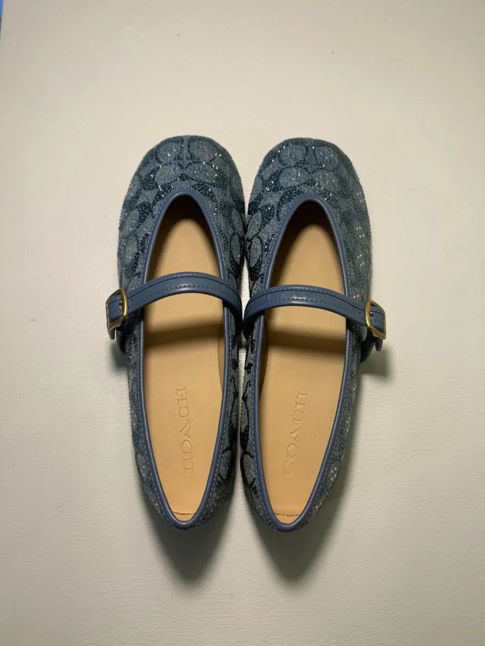 Coach Women's Mary Jane In Crystal Signature Denim